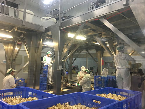 三里人家勁家莊之旅 探訪國家AAA級旅游工廠，解鎖游樂園式服務新體驗